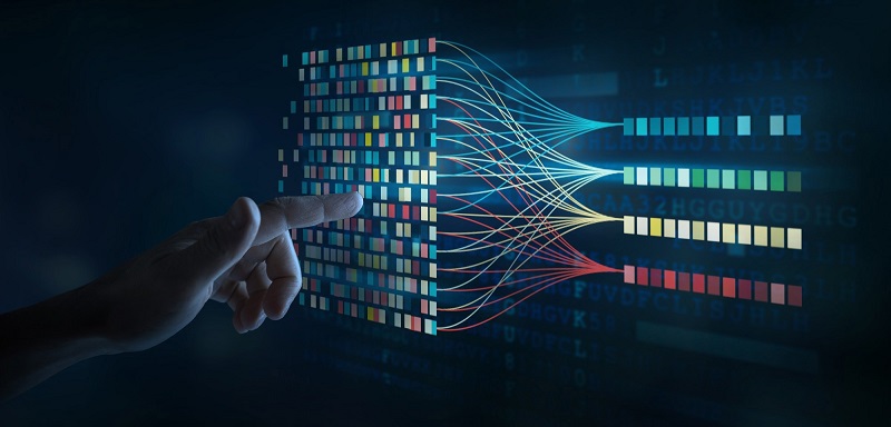 Hệ thống dữ liệu của YS1YS chi tiết và chuyên sâu